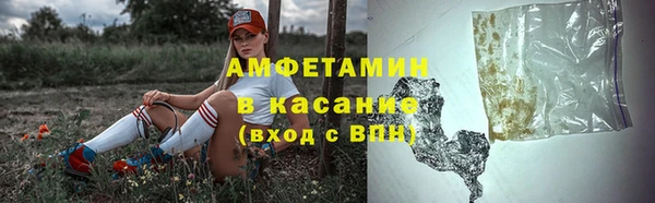 индика Балабаново